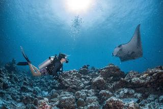 InterContinental Maldives Maamunagau Resort fotoÄŸrafÄ±