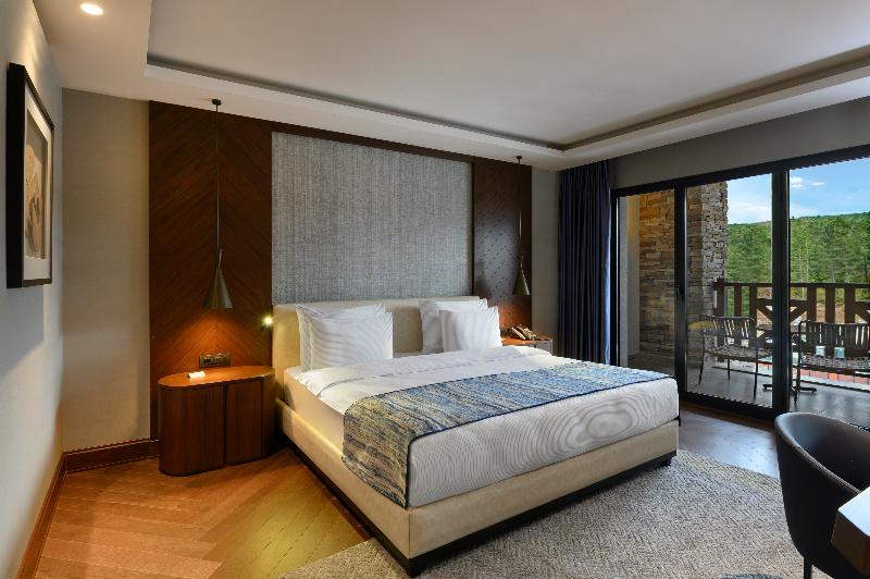 Elite World Grand Sapanca Hotel - Oda