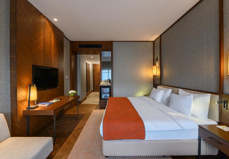 Elite World Grand Sapanca Hotel - Oda