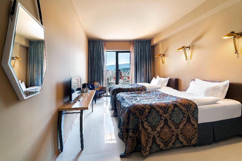 Brim Hotel Tbilisi - Genel