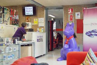Scout Madrid Hostel fotoÄŸrafÄ±