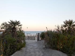 Hôtel Plage Palace fotoÄŸrafÄ±