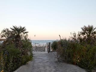 Hôtel Plage Palace fotoÄŸrafÄ±