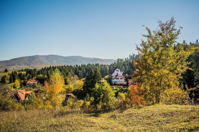 Q Resort and Spa Sacele - Genel