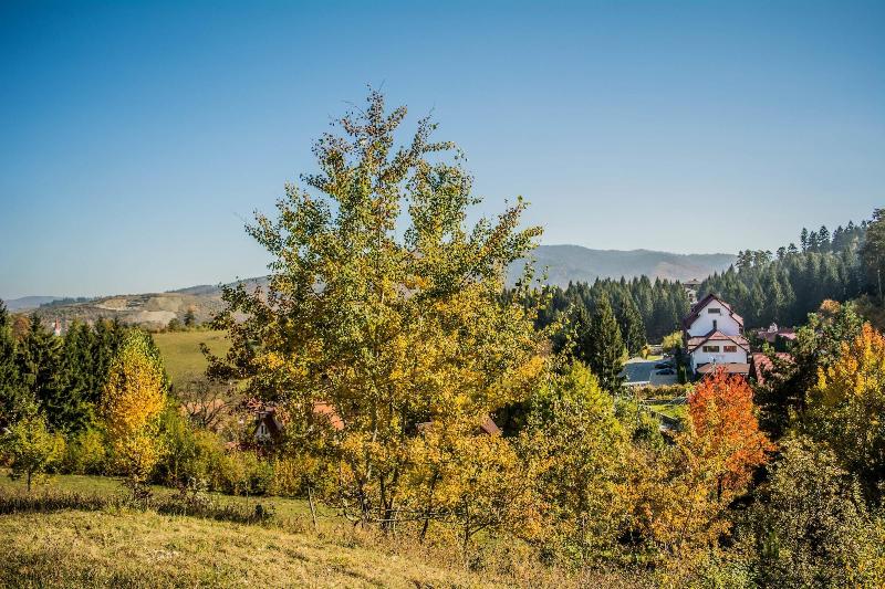 Q Resort and Spa Sacele - Genel