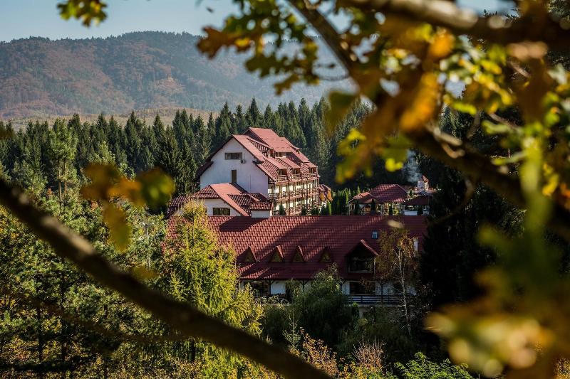 Q Resort and Spa Sacele - Genel