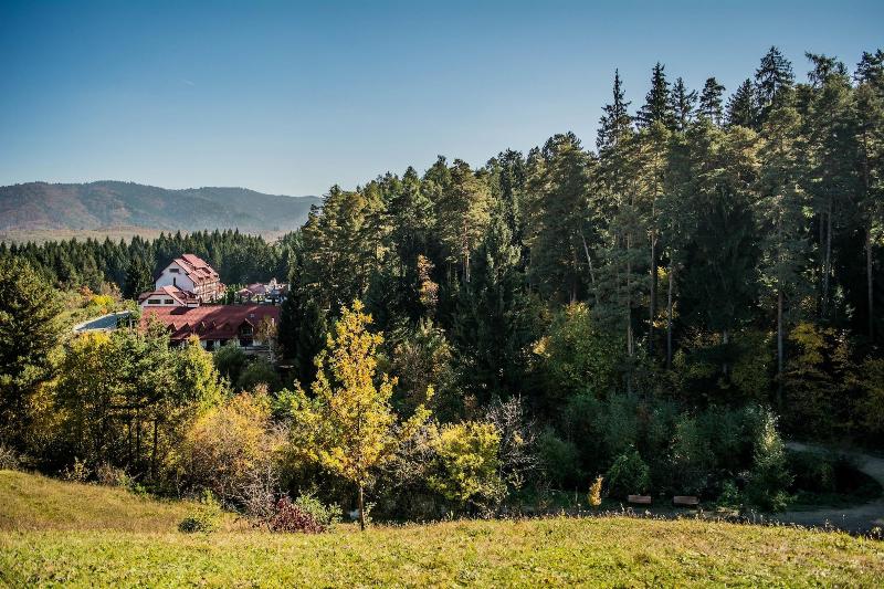 Q Resort and Spa Sacele - Genel