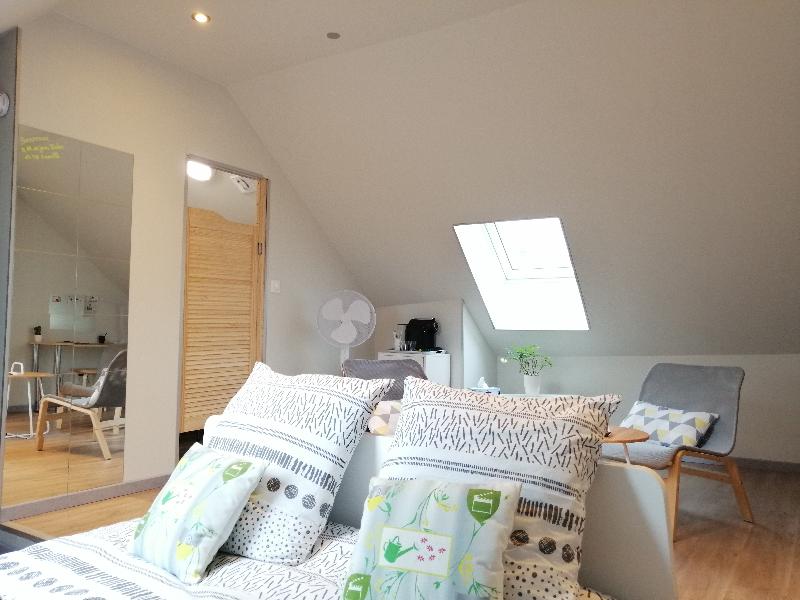 B&B My Art House (Douai Centre) - Oda