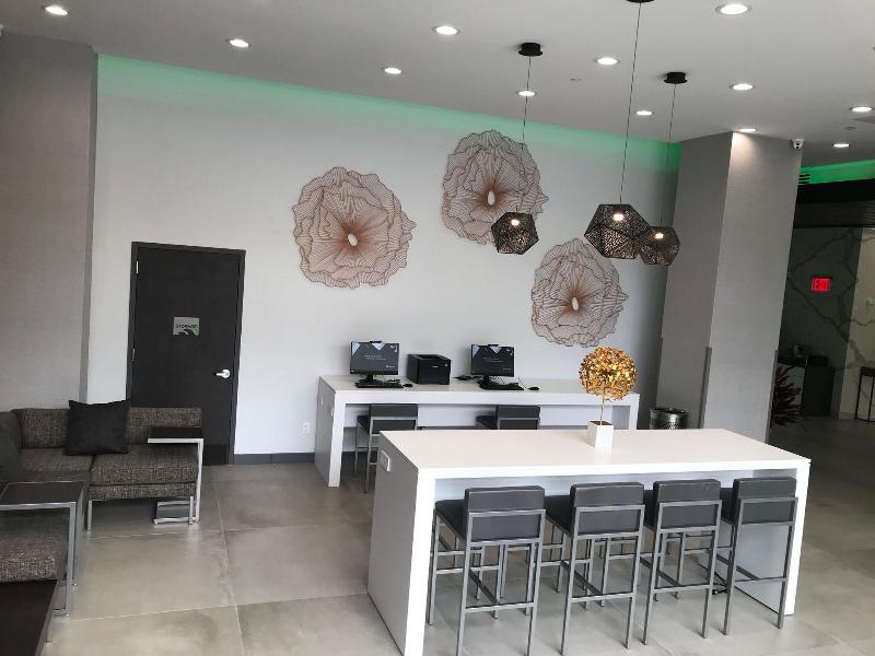 Wingate by Wyndham Long Island City - Toplantı