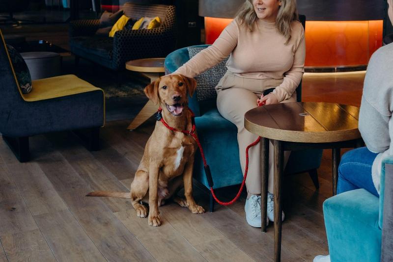 Aloft Aberdeen Teca - Genel
