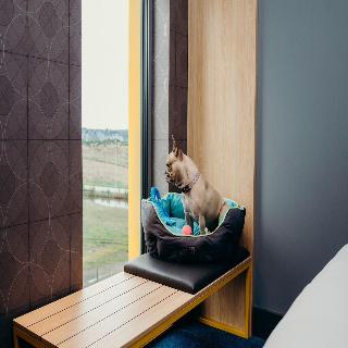 Aloft Aberdeen Teca fotoÄŸrafÄ±