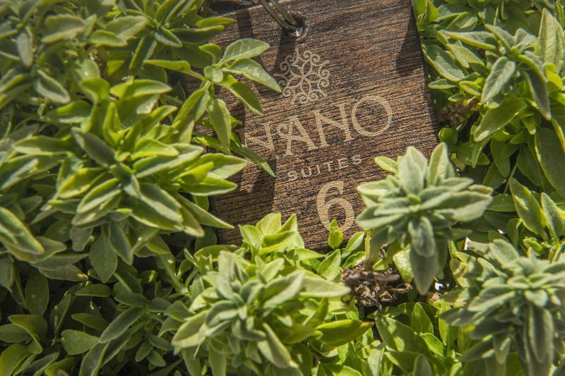 Nano Suites - Genel