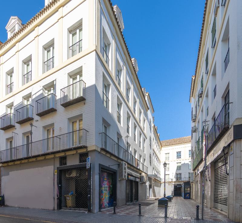 Magna Sevilla - Genel