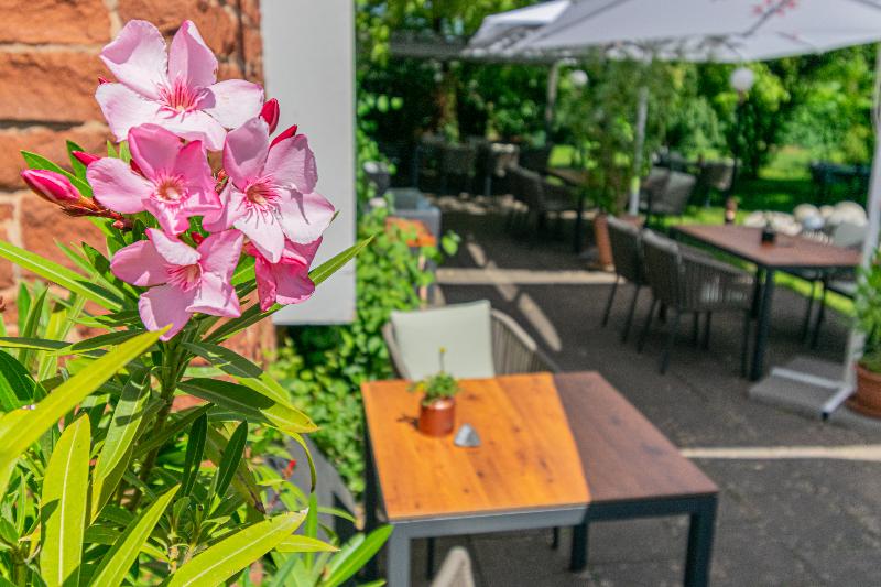 Weinhotel Ayler Kupp - Teras