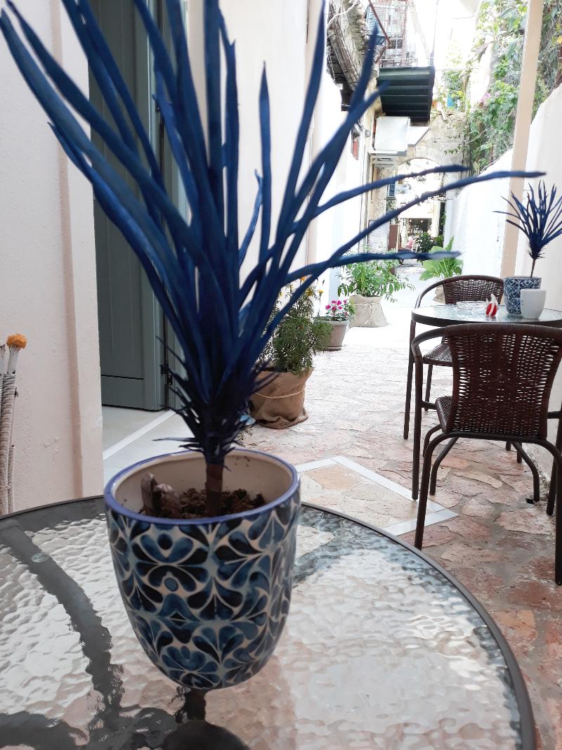Lefkada Princess - Genel
