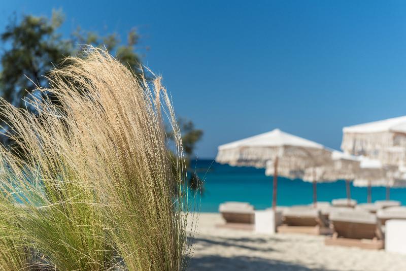 Virtu Suites - Plaj