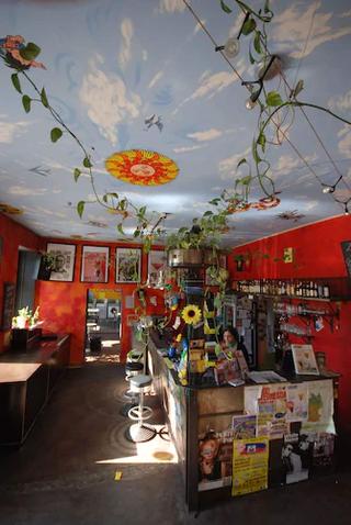 Sunflower Hostel fotoÄŸrafÄ±