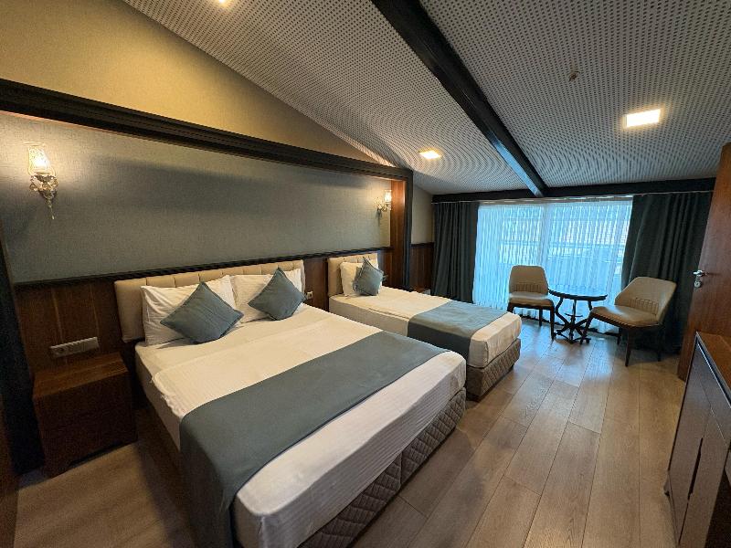 Valens Hotel Downtown - Oda