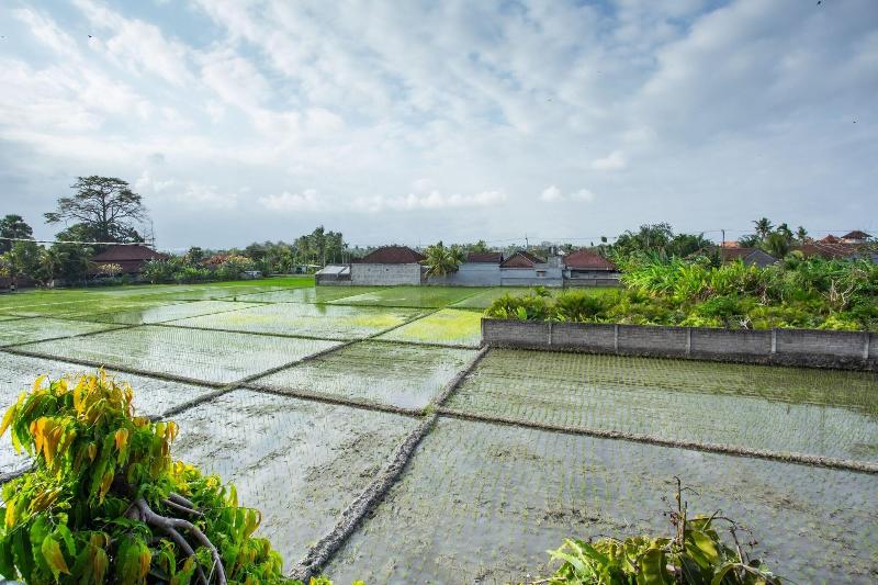 OYO 1207 Pondok 789 - Genel