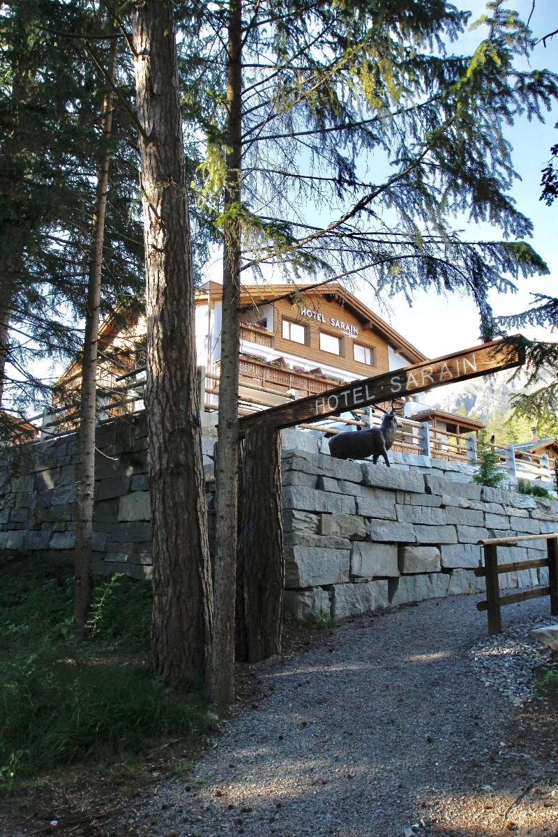 TOP Hotel Sarain Active Mountain Resort - Genel