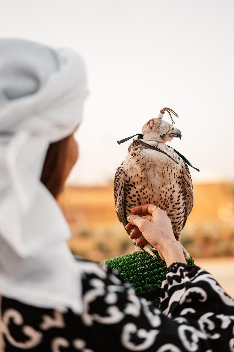 Mysk Al Badayer Retreat - Aktivite