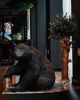 Urban Anaga fotoÄŸrafÄ±