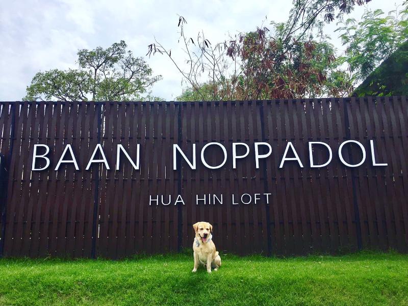 119 Baan Noppadol Hua Hin Loft - Genel