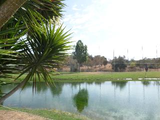 The Navigator - Palm Oasis Alvor fotoÄŸrafÄ±