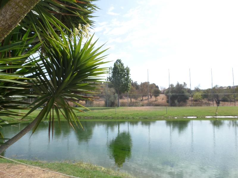 The Navigator - Palm Oasis Alvor - Genel