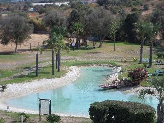 The Navigator - Palm Oasis Alvor fotoÄŸrafÄ±
