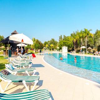 The Navigator - Palm Oasis Alvor fotoÄŸrafÄ±