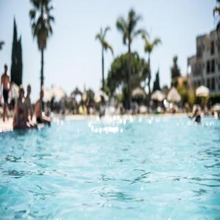 The Navigator - Palm Oasis Alvor fotoÄŸrafÄ±