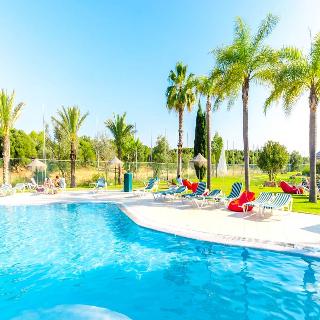 The Navigator - Palm Oasis Alvor fotoÄŸrafÄ±