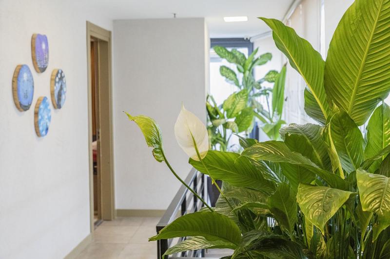 Ayramin Hotel - Lobi