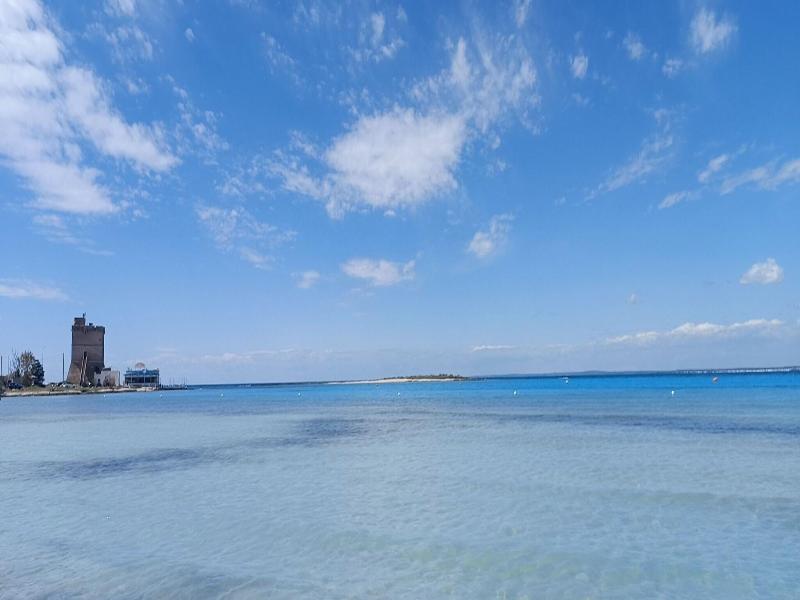Masseria Corda Di Lana Hotel & Resort - Genel