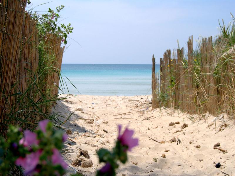 Masseria Corda Di Lana Hotel & Resort - Genel
