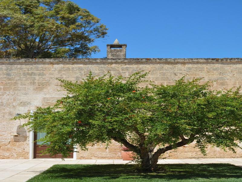 Masseria Corda Di Lana Hotel & Resort - Teras