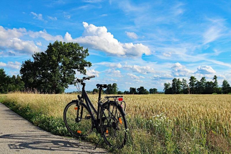 Best Western Plus Parkhotel & Spa Cottbus - Aktivite