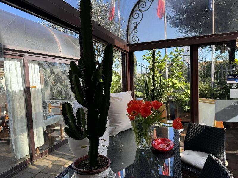 Euro House Inn Airport Hotel Residence - Genel