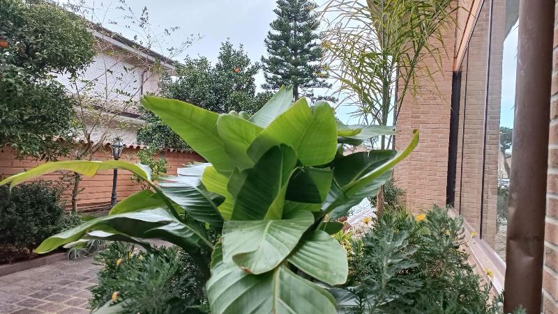 Euro House Inn Airport Hotel Residence - Oda
