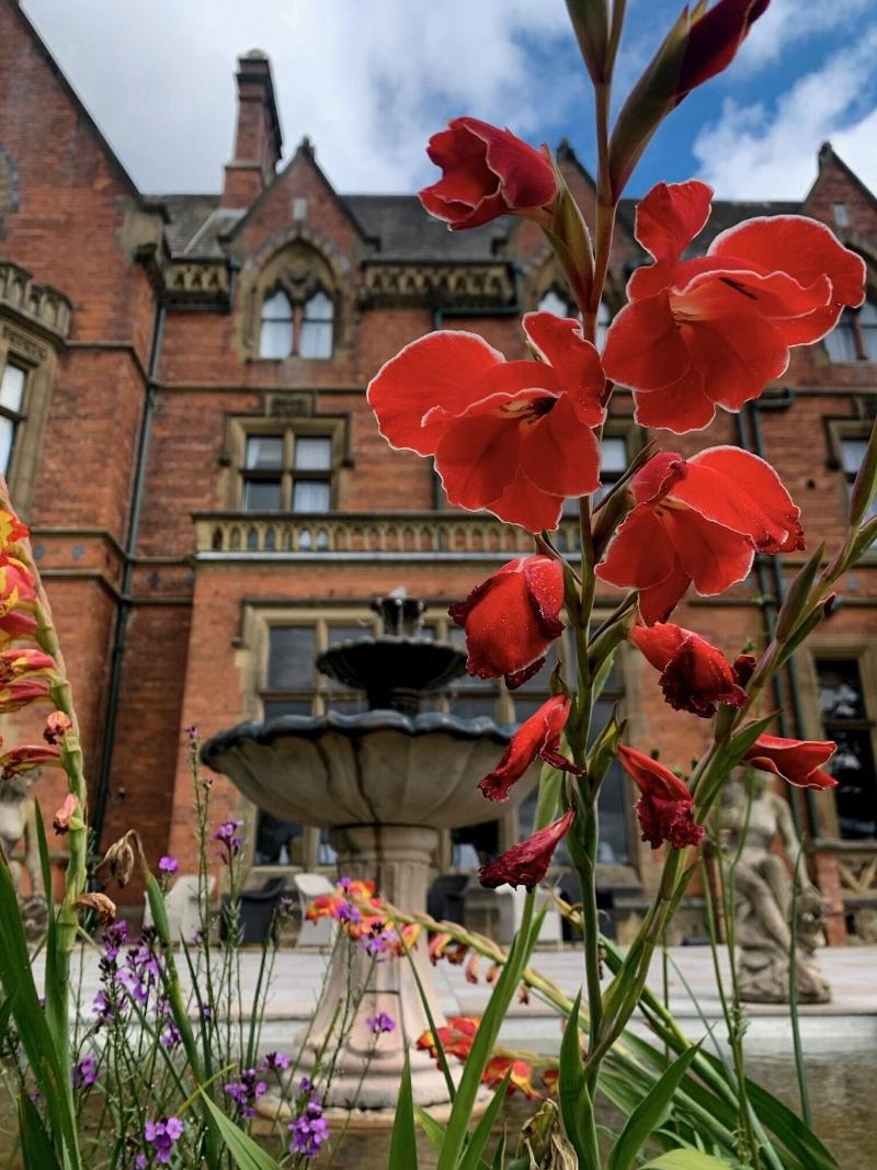 Wroxall Abbey Hotel - Genel