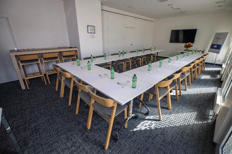 Holiday Inn Express Geneva Airport - Toplantı