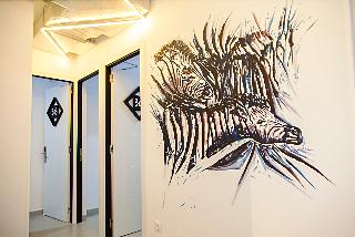 Las Cebras Hostel