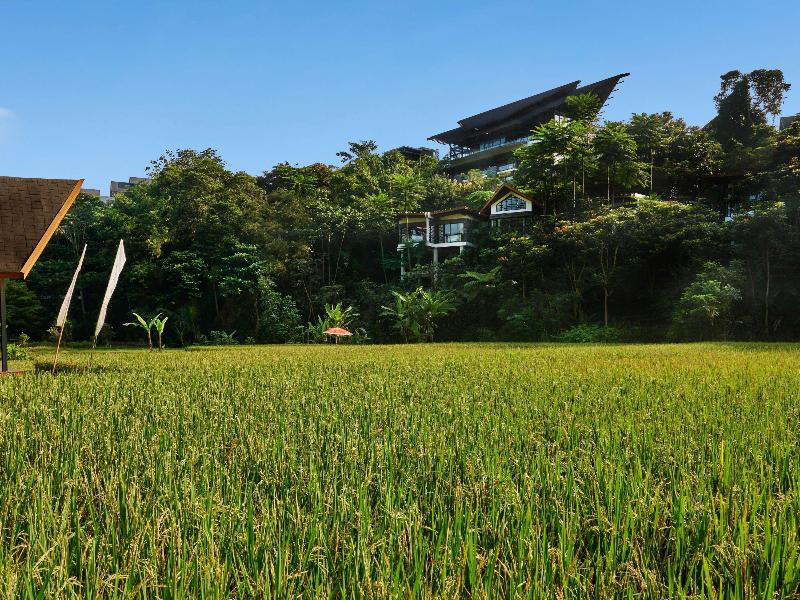 Pullman Ciawi Vimala Hills Resort Spa & Convention - Genel