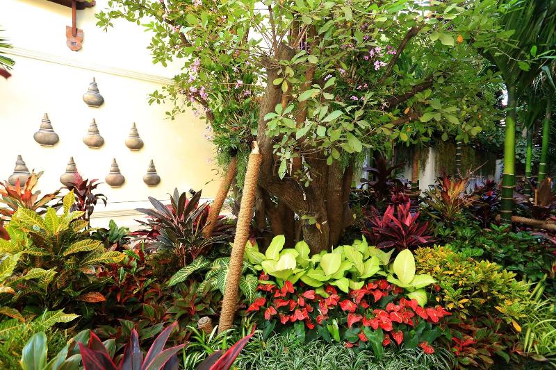 Viangluang Resort - Oda