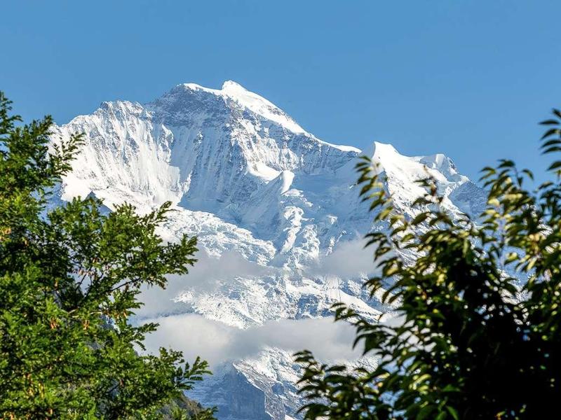 Hotel Royal St. Georges Interlaken Mgallery - Genel