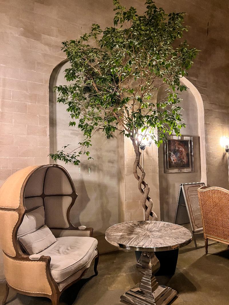 Shirvanshah Hotel - Lobi