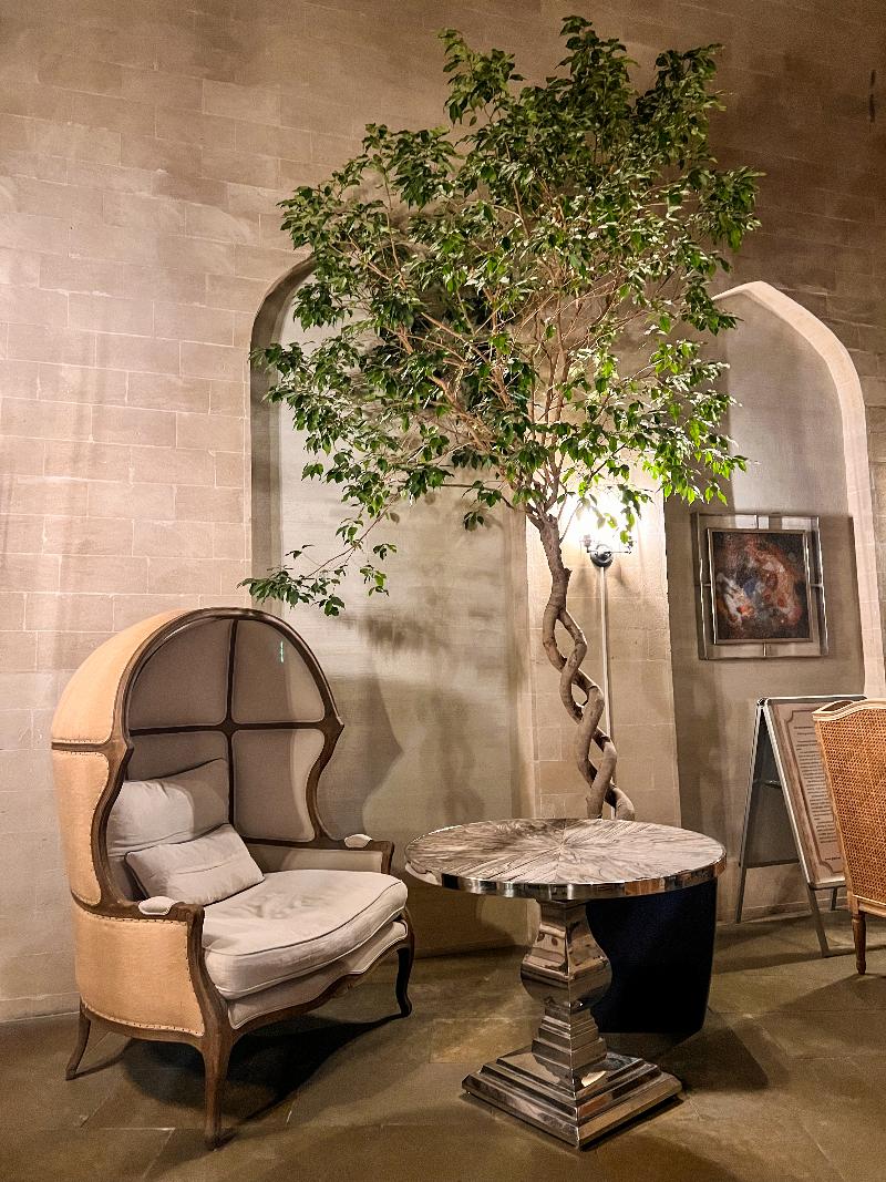 Shirvanshah Hotel - Lobi