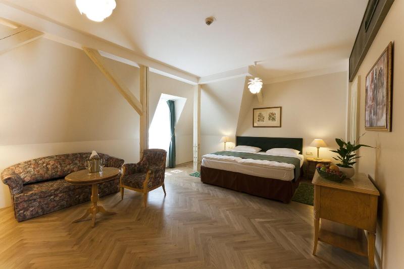 Grandhotel Ambassador Narodni Dum - Oda