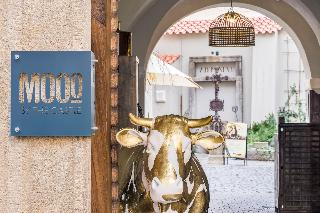 Mooo By The Castle fotoÄŸrafÄ±